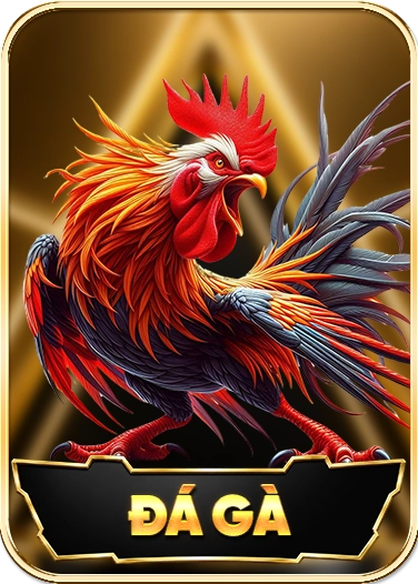 icon đá gà